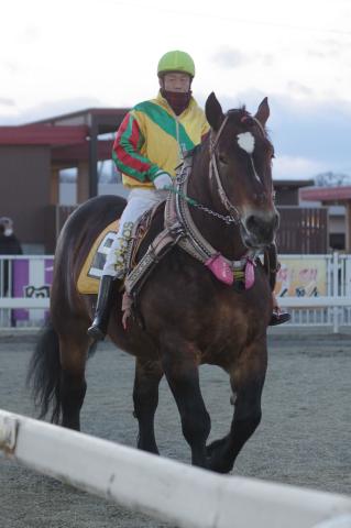 サカノトウカイ写真