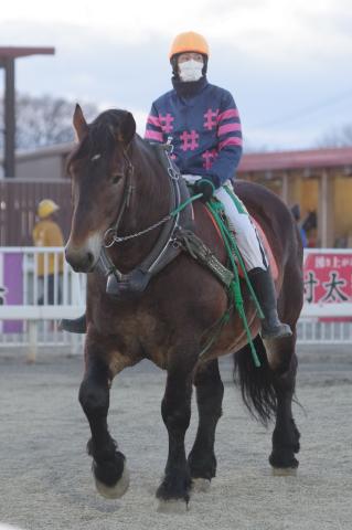 サカノハマナカ写真