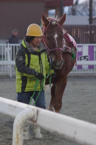 イナノミツヒメ写真