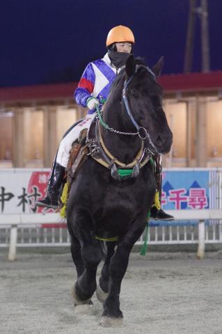 フクノエル写真