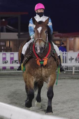 ゴールドクイーン写真