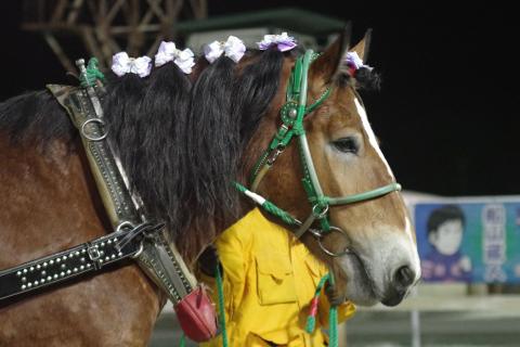 プリンセスモネ写真