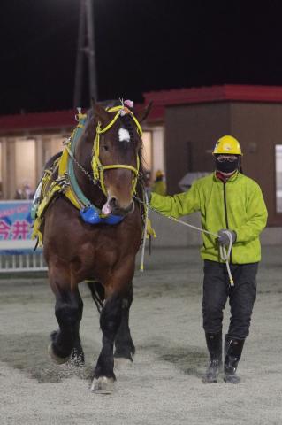 コーワホープ写真