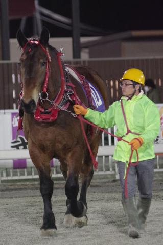 スマイルカナ写真