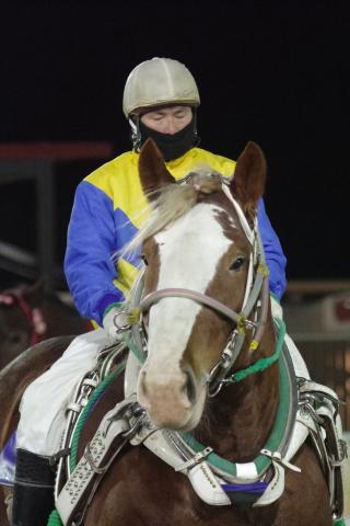 アヤノダイマオー写真