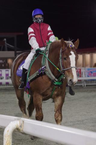 フレイムファースト写真