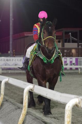 ショータイム写真