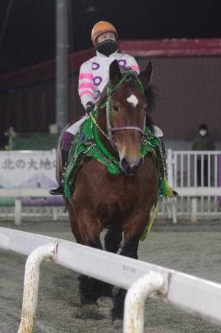 ライジンサン写真