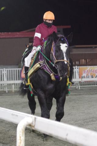 ネオキングダム写真