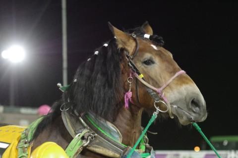 スーパーシンデレラ写真