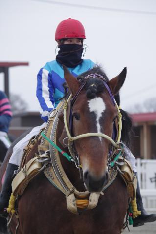 イナズマタイガー写真