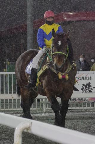 ジェイホースワン写真