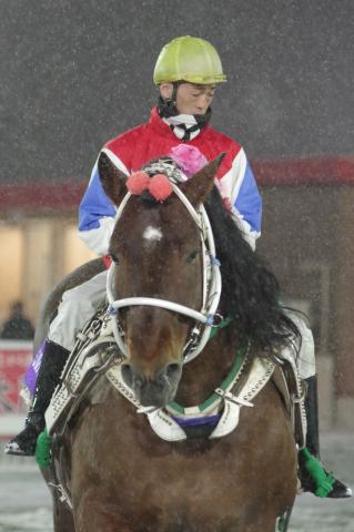 ミノルシャープ写真